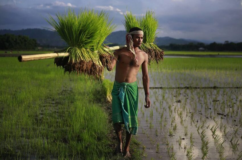  ലോക്‌സഭാ തെരഞ്ഞെടുപ്പിൽ മത്സരിക്കാൻ കര്‍ഷക സംഘടനകൾ