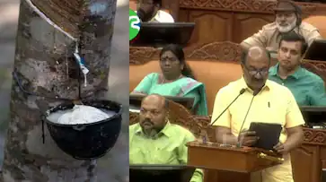  കര്‍ഷകര്‍ക്ക് ആശ്വാസ തീരുമാനം: സംസ്ഥാനത്ത് റബ്ബറിന്റെ താങ്ങുവില ഉയര്‍ത്തി