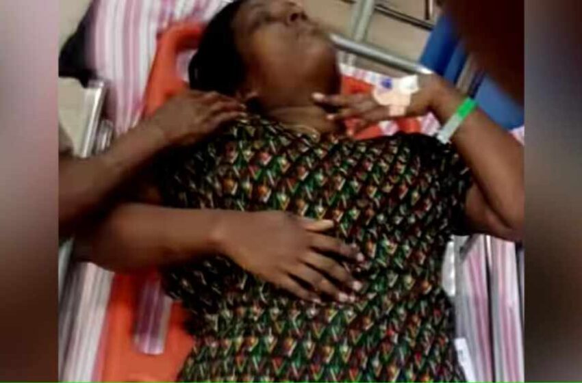  കോഴിക്കോട് വീണ്ടും കാട്ടുപന്നി ആക്രമണം; വീട്ടമ്മക്ക് ഗുരുതര പരിക്ക്