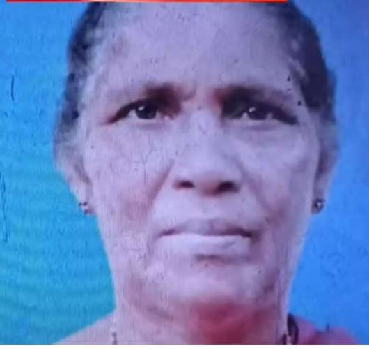  കിടപ്പുരോഗിയായ ഭാര്യയെ കഴുത്തറുത്തു ഭര്‍ത്താവ് കൊന്നു