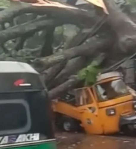  മരം പൊട്ടി വീണ് വാഹനഗതാഗതം തടസ്സപ്പെട്ടു; ഓട്ടോറിക്ഷകൾ തകർന്നു
