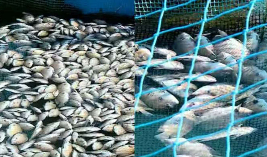  മാലിന്യം ഒഴുക്കി വിട്ടു; സി.ജി ലൂബ്രിക്കൻ്റ്സ് കമ്പനി അടച്ചുപൂട്ടാൻ ഉത്തരവ്