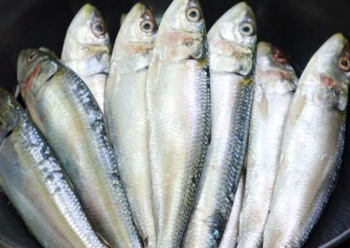  ട്രോളിങ് നിരോധനം നിലവില്‍ വന്നതോടെ കുതിച്ചുയര്‍ന്ന് മത്സ്യവില