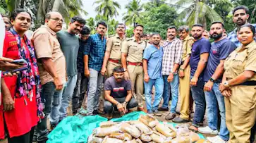 മഞ്ചേരിയിൽ കഞ്ചാവ് വേട്ട; കാറിന്റെ ഡിക്കിയിൽ ചെറിയ പാക്കറ്റിലാക്കിയ 50 കിലോ കഞ്ചാവ്