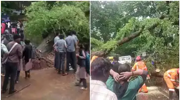  സ്കൂളിന്റെ മുന്നിൽ മരം കടപുഴകി വീണു; 8 വിദ്യാർഥികൾക്ക് പരിക്ക്