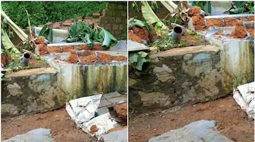  പാലക്കാട്‌ ജലസംഭരണി തകർന്ന് അമ്മയ്ക്കും കുഞ്ഞിനും ദാരുണാന്ത്യം