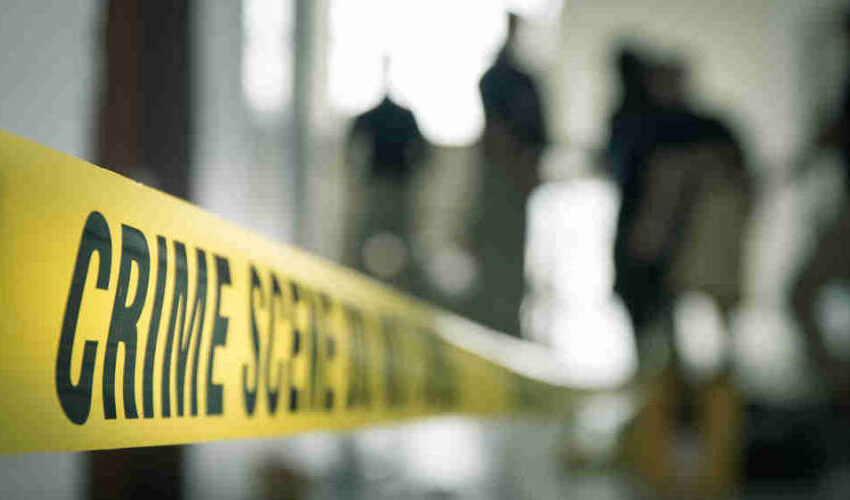  ക്യാരറ്റ് തിന്നത് ചോദ്യം ചെയ്തു : റാന്നിയില്‍ കടയുടമയെ വെട്ടിക്കൊലപ്പെടുത്തി