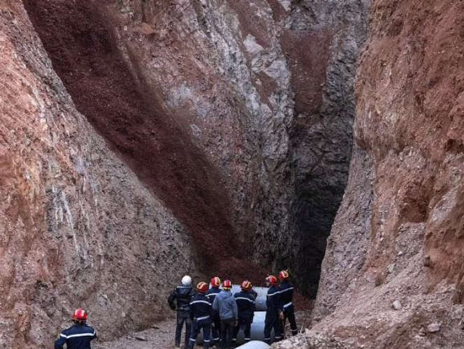  പാറപ്പൊത്തില്‍ കുടുങ്ങിയ കുഞ്ഞുങ്ങളെ എട്ടു മണിക്കൂര്‍ നീണ്ട സാഹസത്തിനൊടുവില്‍ രക്ഷപ്പെടുത്തി വനം വകുപ്പ് ഉദ്യോഗസ്ഥര്‍