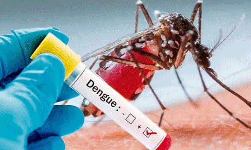  കോട്ടപറമ്പ് ആശുപത്രി ജീവനക്കാരിൽ ഡെങ്കിപ്പനി വ്യാപനം