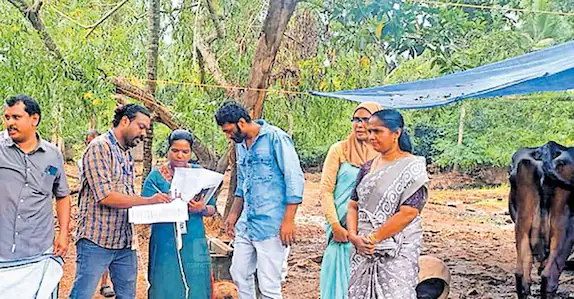  താക്കീത് ഫലിച്ചില്ല, അനധികൃത ഫാമിലെ പശുക്കളെ പിടിച്ചെടുത്തു ലേലം ചെയ്തു