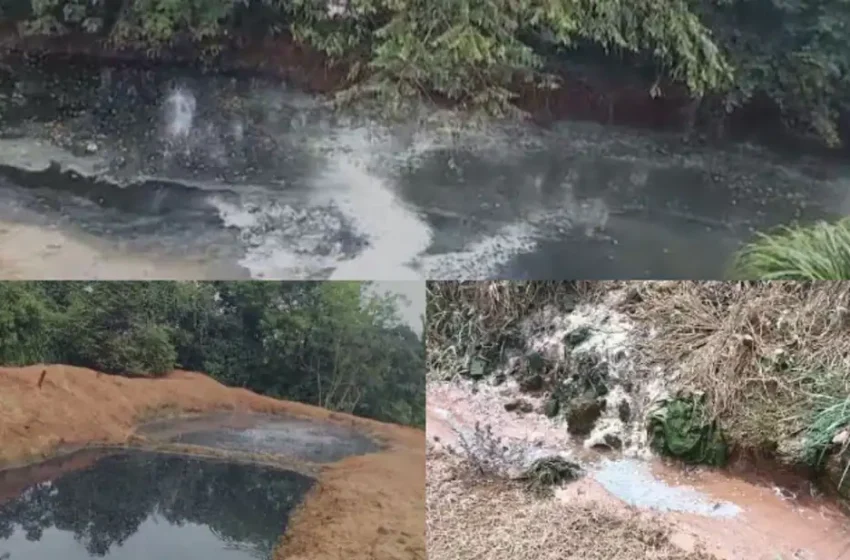  ആസിഡ് അടങ്ങിയ വെള്ളം പുറത്തേക്ക് ഒഴുകി, മീനുകൾ ചത്തു; ലാറ്റക്സ് കമ്പനിക്കെതിരെ പരാതി