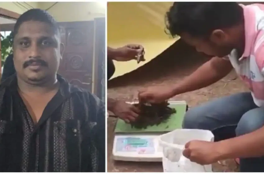  ബൈക്കിൽ ഒരു കിലോ കഞ്ചാവുമായി വരുന്നതിനിടെ യുവാവിനെ എക്സൈസ് പിടികൂടി