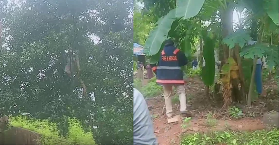  കുടുംബ കലഹം: പ്ലാവിൽ കയറി ആത്മഹത്യാ ഭീഷണി