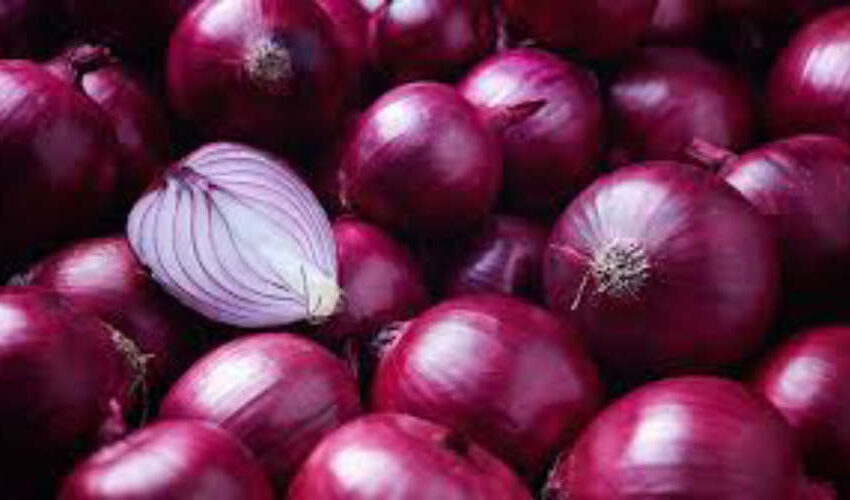  പ്രതീക്ഷയോടെ കർഷകർ: ഇന്ത്യൻ സവാളയുടെ കയറ്റുമതി വർധിക്കും