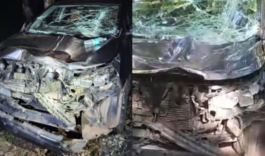  ആനയെ കണ്ട് കാര്‍നിര്‍ത്തി, പാഞ്ഞടുത്ത കാട്ടാന കാറിന്റെ മുന്‍ഭാഗം തകര്‍ത്തു