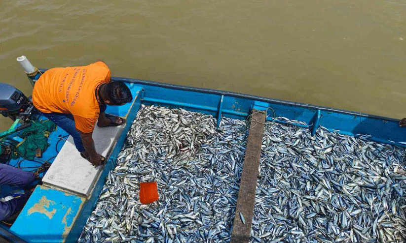  നി​യ​മം ലം​ഘി​ച്ച മത്സ്യ​ബ​ന്ധ​ന ബോട്ടുകൾ പി​ടി​ച്ചെടുത്തു