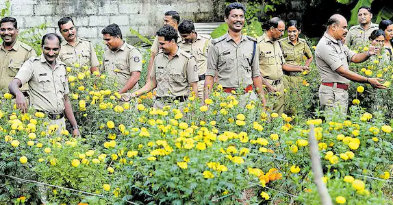  കാക്കിക്കുള്ളിലെ പൂ മനസ്സ് ‘:പൊലീസുകാർ നട്ടുനനച്ചു വളർത്തിയ പൂക്കൃഷി