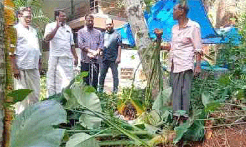  കാട്ടുമൃഗശല്യത്തില്‍ പൊറുതിമുട്ടി കല്ലൂർ