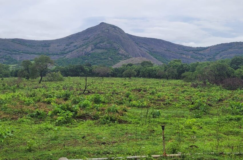  പാലക്കാട് 30 കോടിയുടെ ക്രിക്കറ്റ് സ്‌പോര്‍ട്‌സ് ഹബ് സ്റ്റേഡിയം പദ്ധതിയുമായി കെ.സി.എ; നിര്‍മ്മാണം ജനുവരിയില്‍ തുടങ്ങും
