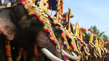  ആനയെഴുന്നള്ളിപ്പിലെ നിയന്ത്രണങ്ങൾ; ദേവസ്വങ്ങള്‍ക്ക് ആശ്വാസം, ഹൈക്കോടതി ഉത്തരവ് സ്റ്റേ ചെയ്ത് സുപ്രീം കോടതി