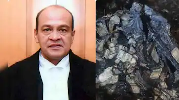  വസതിയിൽ നിന്ന് പണം കണ്ടെത്തിയ സംഭവം; ജസ്റ്റിസ് യശ്വന്ത് വർമ്മയ്ക്കെതിരെ ആഭ്യന്തര സമിതി റിപ്പോർട്ട്