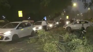  വീടിന് മുകളിൽ മരം വീണ് അമ്മയും മൂന്ന് കുഞ്ഞുങ്ങളും മരിച്ചു; കനത്ത മഴയ്ക്കിടെ ദാരുണ സംഭവം 